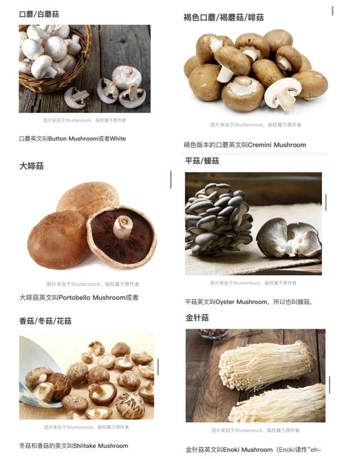 澳门一肖一码一待一中和一家6口吃蘑菇中毒与一家六口吃蘑菇中毒