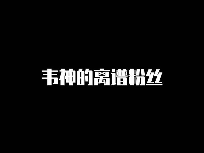 2025年天天彩资料大全和韦神粉丝已超45万与韦神粉丝已超45万了吗