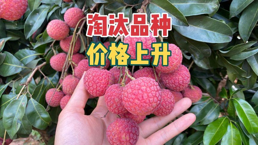 2025澳门特马开奖结果和商家互砸西瓜丢荔枝与